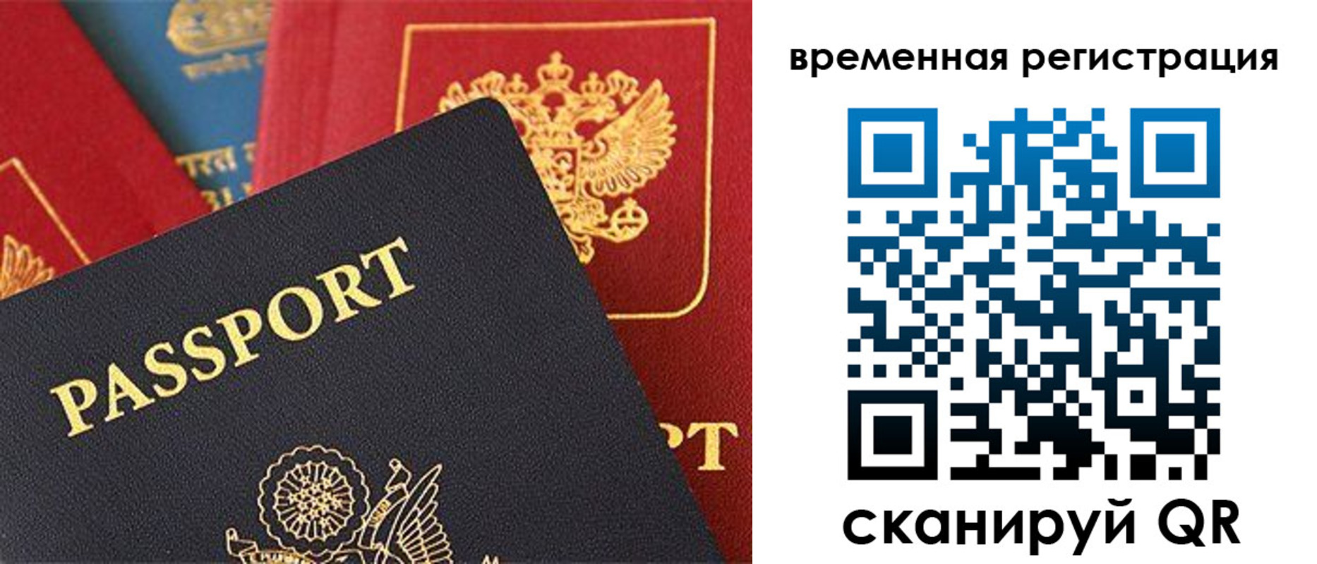 временная регистрация гарантия в Курской области